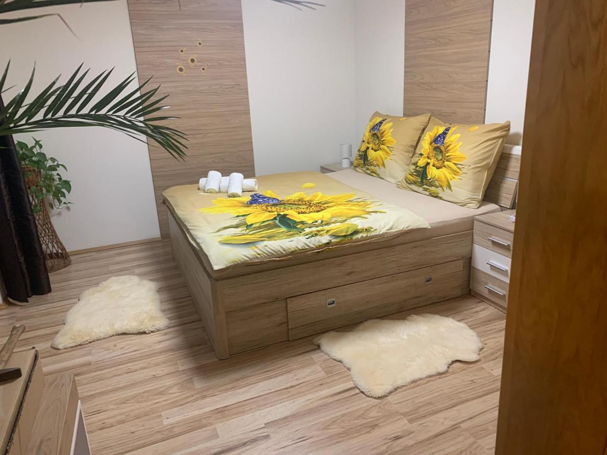 Apartman Slunecnice S Terasou เชสเกบูดิเยโจวิตเซ ภายนอก รูปภาพ