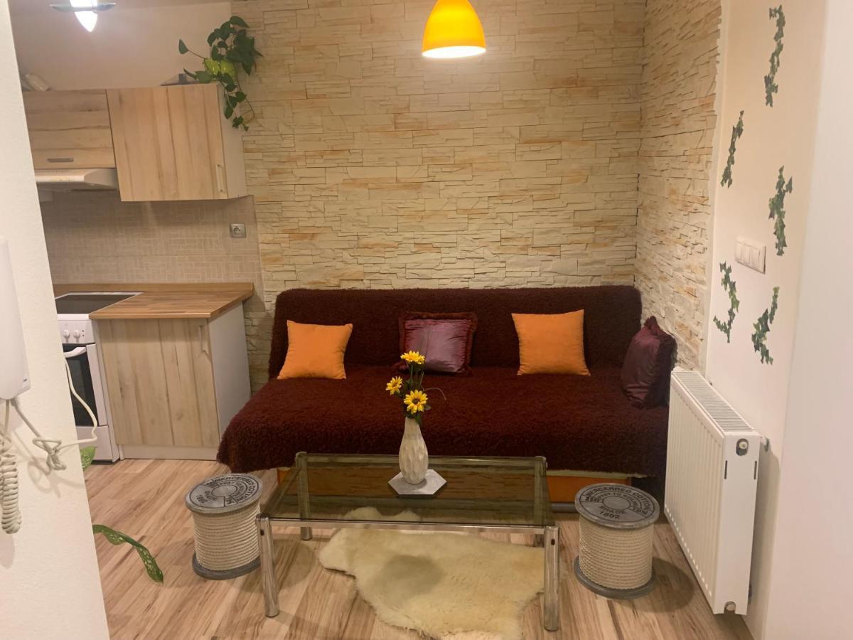 Apartman Slunecnice S Terasou เชสเกบูดิเยโจวิตเซ ภายนอก รูปภาพ