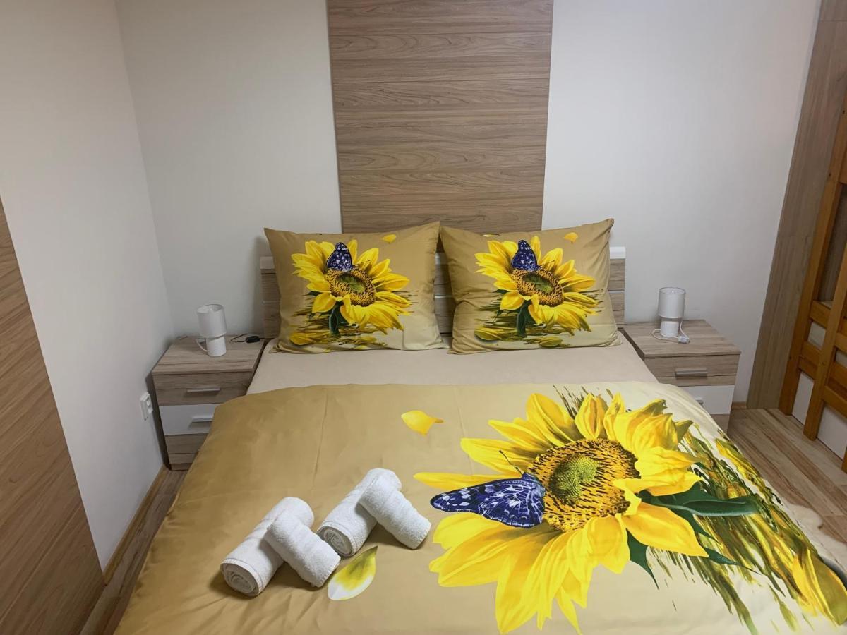 Apartman Slunecnice S Terasou เชสเกบูดิเยโจวิตเซ ภายนอก รูปภาพ