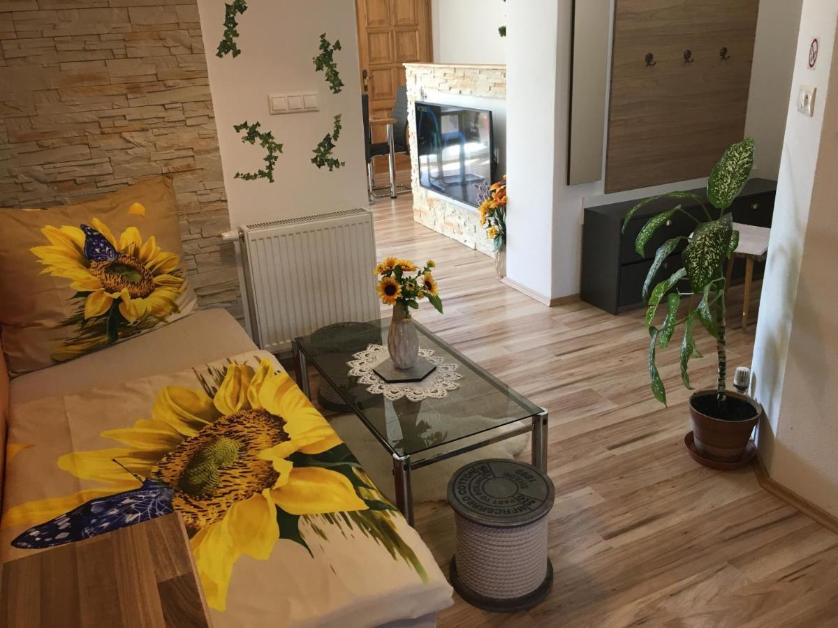 Apartman Slunecnice S Terasou เชสเกบูดิเยโจวิตเซ ภายนอก รูปภาพ
