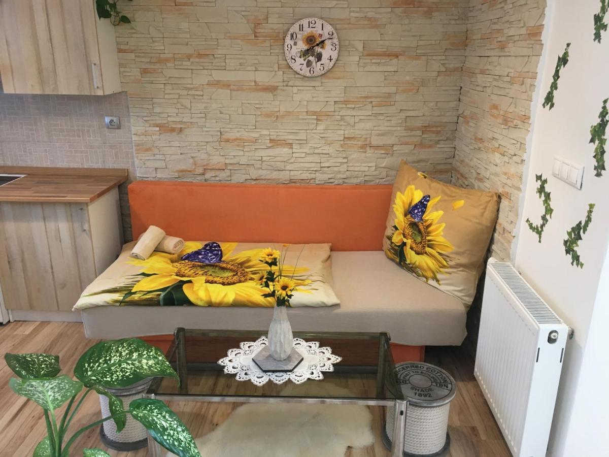 Apartman Slunecnice S Terasou เชสเกบูดิเยโจวิตเซ ภายนอก รูปภาพ